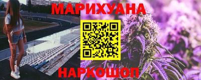 сатива Новокубанск