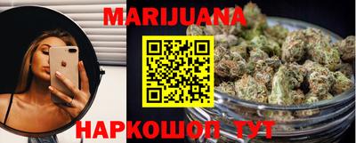 сатива Новокубанск