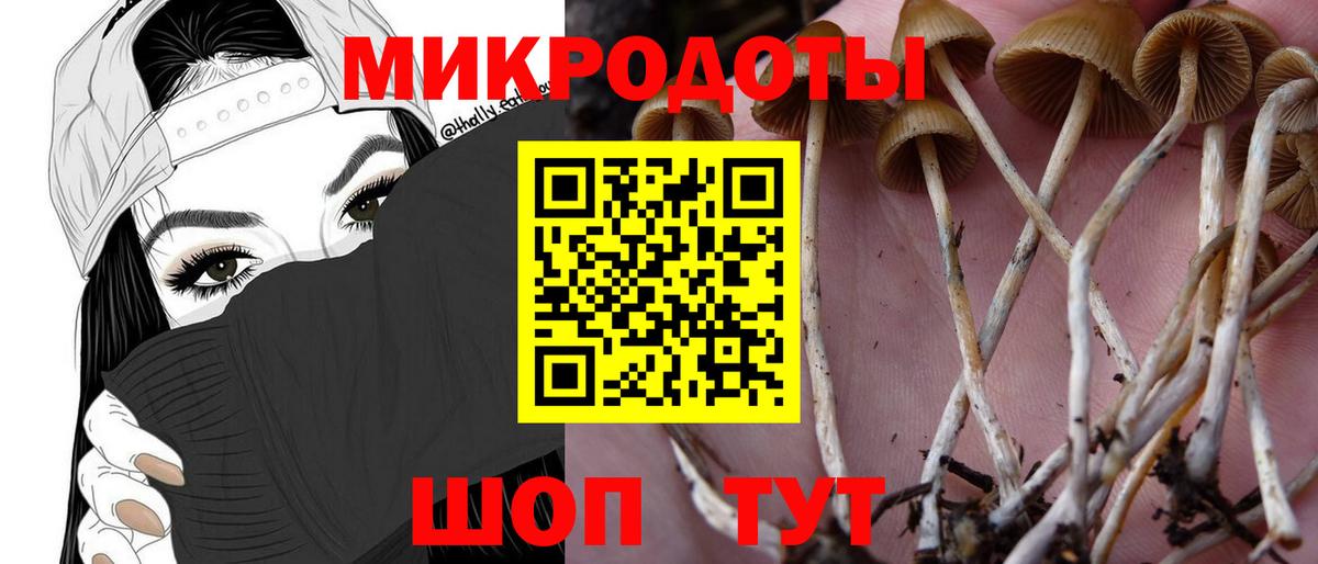 Псилоцибиновые грибы GOLDEN TEACHER  Вход с VPN  Учалы 