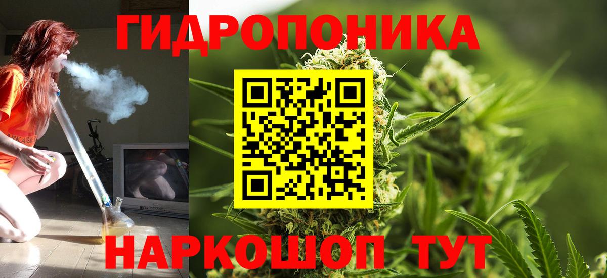 Канабис сатива Учалы